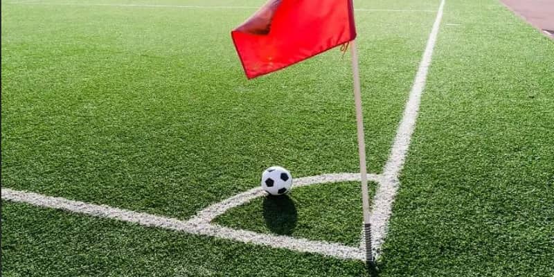 Nắm bắt các bí kíp để giúp hội viên tối ưu hóa khả năng thu về tiền thưởng